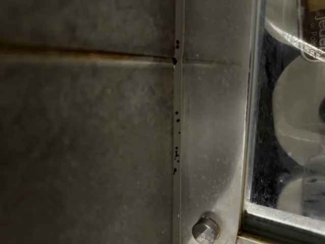 pleśń w łazience na silikonie