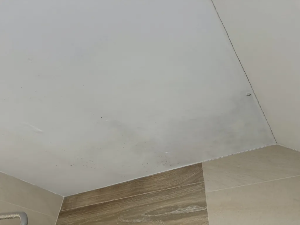 pleśń w łazience na suficie